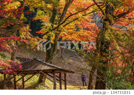 豊田市の大井平公園の風景(愛知県) 134731831