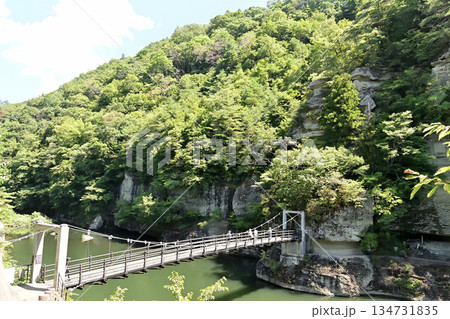 福島県 塔のへつり 福島県 塔のへつり 134731835