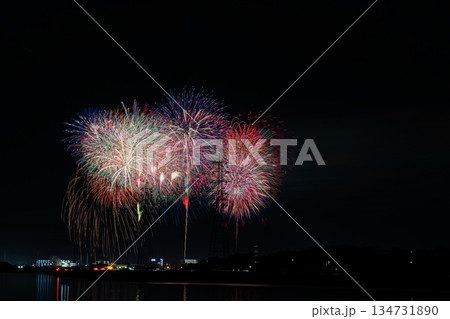 田原市の渥美半島花火大会の風景(愛知県) 134731890