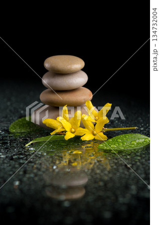 Zen stones stacked with yellow flowers and fresh leaves 134732004