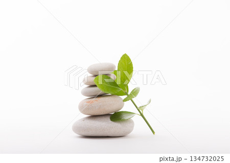 Stacked stones with fresh sprout on white background Stacked stones with fresh sprout on white background 134732025