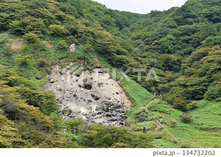 栃木県  殺生石 134732202