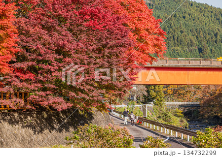 豊田市の大井平公園の風景(愛知県) 豊田市の大井平公園の風景(愛知県) 134732299