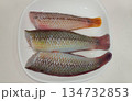 キュウセンベラを捌きウロコを落としたもの 134732853
