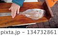 釣り大会でマダイの大きさを測る 134732861