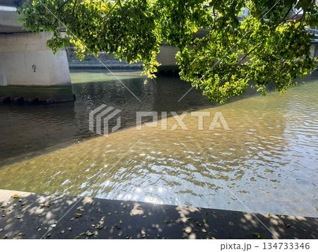 川の水面の景色　綺麗　水面 134733346