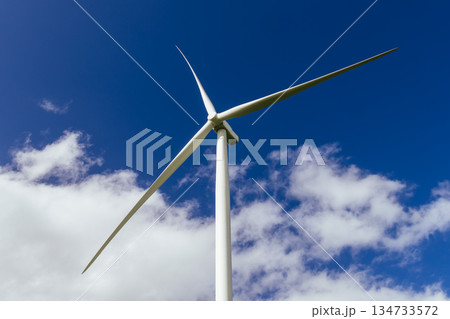 Murra Warra Wind Farm in Australia 134733572