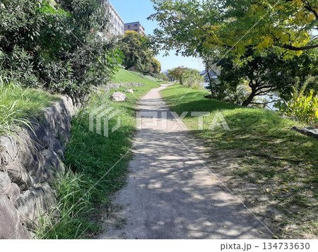 緑の道　道　木陰の道 134733630
