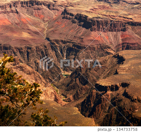 Hazy Sky Day At The Grand Canyon Arizona Hazy Sky Day At The Grand Canyon Arizona 134733758