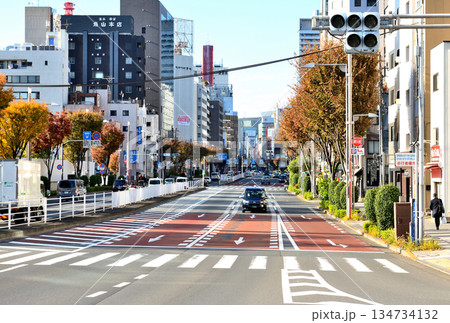 イチョウ並木が紅葉した東京晴海通 134734132
