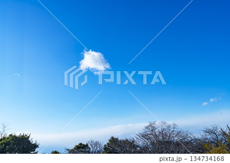 冬空と雲と木立 134734168