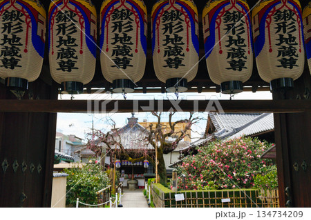 京都 地蔵院(椿寺)(京都府京都市北区) 京都 地蔵院(椿寺)(京都府京都市北区) 134734209
