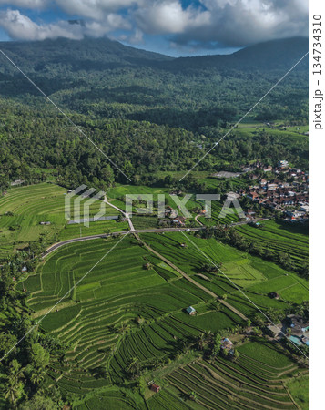 Aerial Perspective Revealing Traditional Balinese Farm Terraces Aerial Perspective Revealing Traditional Balinese Farm Terraces 134734310