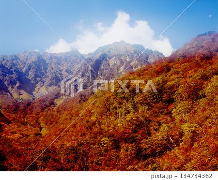 紅葉に包まれた山と谷川岳連邦 134734362