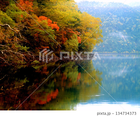 湖面に映る紅葉 134734373