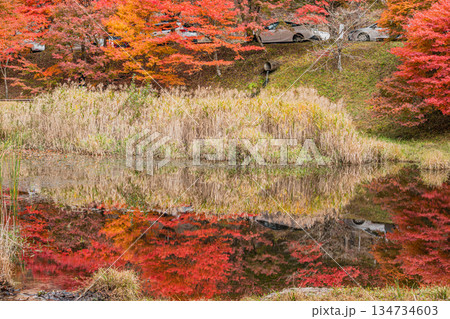 豊田市のタカドヤ湿地の風景(愛知県) 134734603