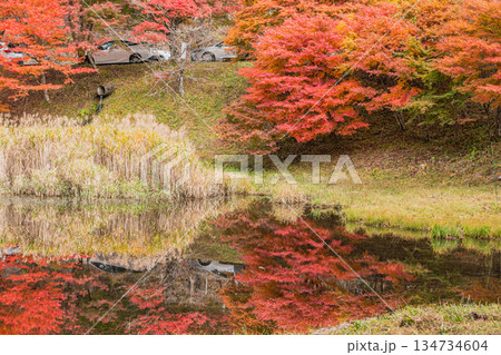 豊田市のタカドヤ湿地の風景(愛知県) 134734604