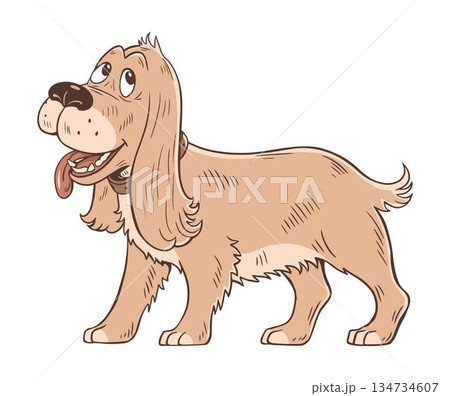 Cartoon spaniel dog standing isolated on white background Cartoon spaniel dog standing isolated on white background 134734607