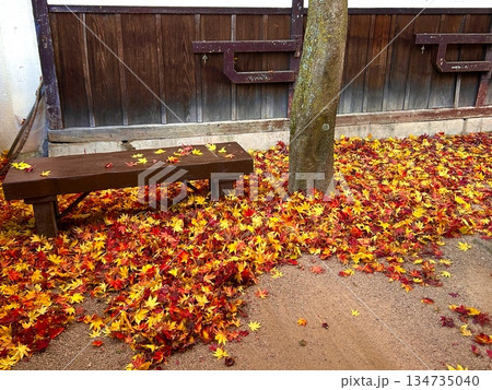 飛騨牛のこもり かじ橋店 134735040