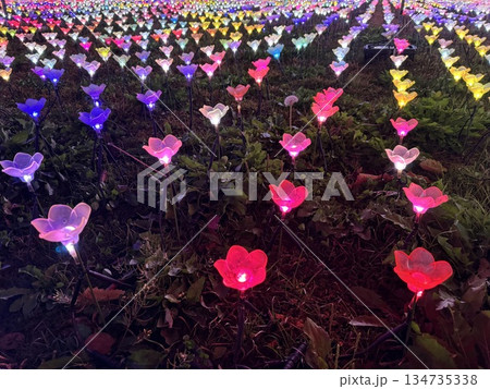 カラフルなイルミネーションの花畑 134735338