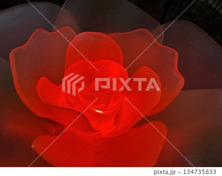 赤いイルミネーションのバラ 134735833