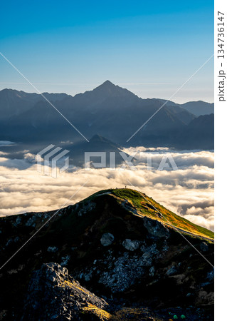 白馬山荘から見る雲海の剱岳（黄昏時）　北アルプス白馬岳縦走登山 134736147