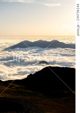 白馬山荘から見る雲海の毛勝三山(猫又山、釜谷山、毛勝山)黄昏時 北アルプス白馬岳縦走登山 白馬山荘から見る雲海の毛勝三山(猫又山、釜谷山、毛勝山)黄昏時 北アルプス白馬岳縦走登山 134736148