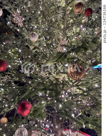 キラキラしたクリスマスツリー キラキラしたクリスマスツリー 134736166