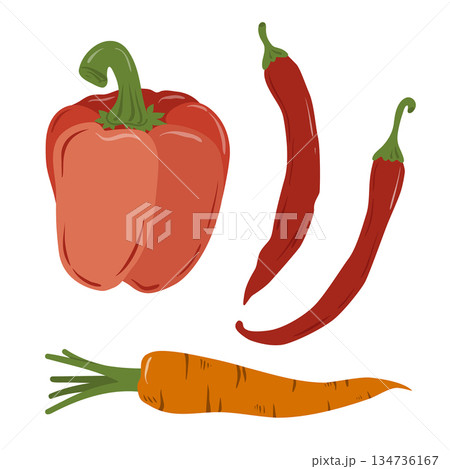 Illustration of peppers and carrots isolated on a background. Hand-drawn vegetables. Vegetarian diet food with vitamins for preparing delicious and healthy dishes. 134736167