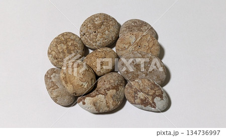 姫川薬石 134736997