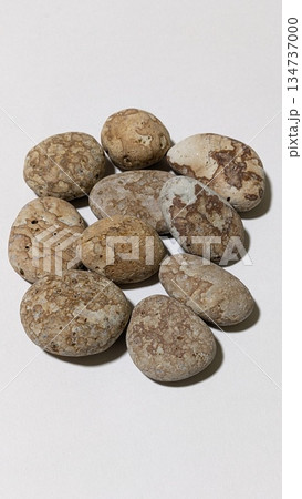 姫川薬石 姫川薬石 134737000