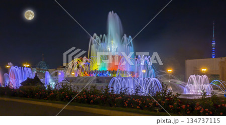 Fountain Stone Flower (at night with the super moon) at VDNKh in Moscow. VDNKh (called also All-Russian Exhibition Center) is a permanent general-purpose trade show in Moscow, Russia Fountain Stone Flower (at night with the super moon) at VDNKh in Moscow. VDNKh (called also All-Russian Exhibition Center) is a permanent general-purpose trade show in Moscow, Russia 134737115