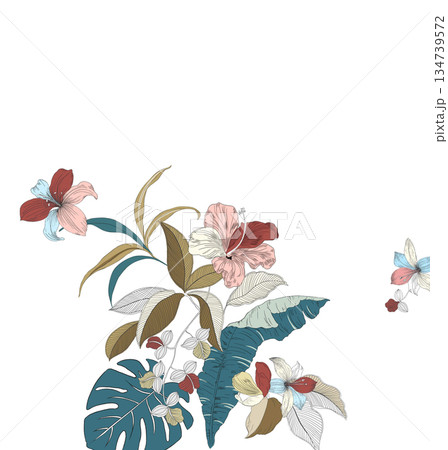 Exquisite Hand-Painted Illustrations of Botany Exquisite Hand-Painted Illustrations of Botany 134739572