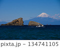 雲見海岸から海越しの富士山 134741105