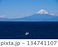 雲見海岸から海越しの富士山 134741107