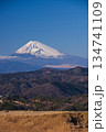 伊東市大室山山頂から富士山を見る 134741109
