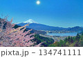 夜桜の富士山と河口湖 134741111