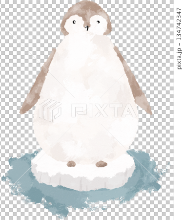 Penguin on a melting iceberg hand drawn illustration 134742347