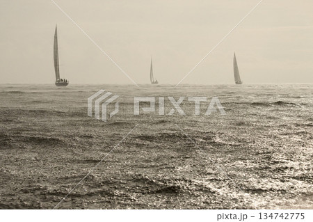 Sailing regatta in the Gulf of Finland in heavily rain, few sailing yachts competing in a race, splashing water from under the boats, teamwork, board the boat 134742775