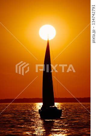 Sailing regatta in the Gulf of Finland at sunset, few sailing yachts competing in a race, splashing water from under the boats, teamwork, board the boat 134742791