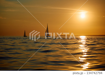 Sailing regatta in the Gulf of Finland at sunset, few sailing yachts competing in a race, splashing water from under the boats, teamwork, board the boat 134742794