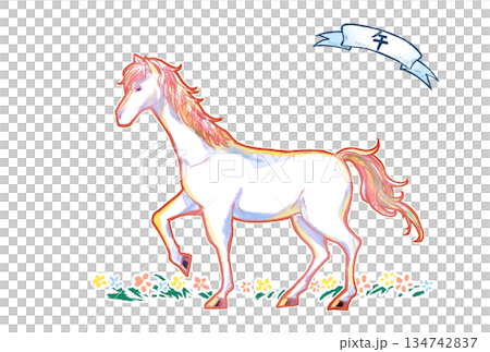 Illustration of a white horse in a flower field in the year of the horse Illustration of a white horse in a flower field in the year of the horse 134742837