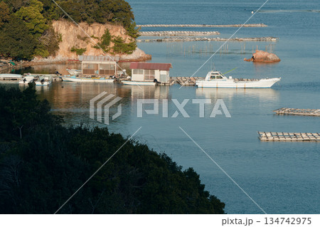 穏やかな湾内の小さな桟橋と作業小屋、係留されている漁船  134742975
