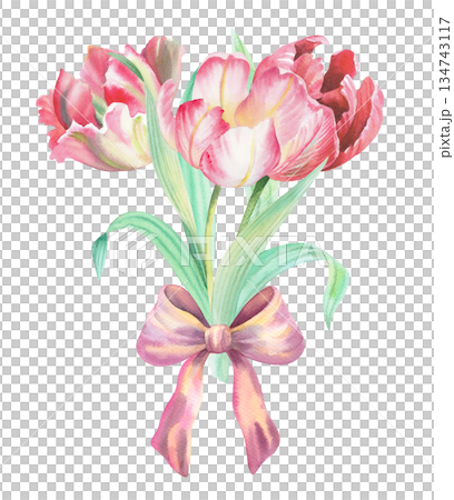 Bouquet of tulips with a bow. Watercolor illustration. For fabric, wallpaper, packing paper, greeting cards, design, decoration and illustration. Bouquet of tulips with a bow. Watercolor illustration. For fabric, wallpaper, packing paper, greeting cards, design, decoration and illustration. 134743117