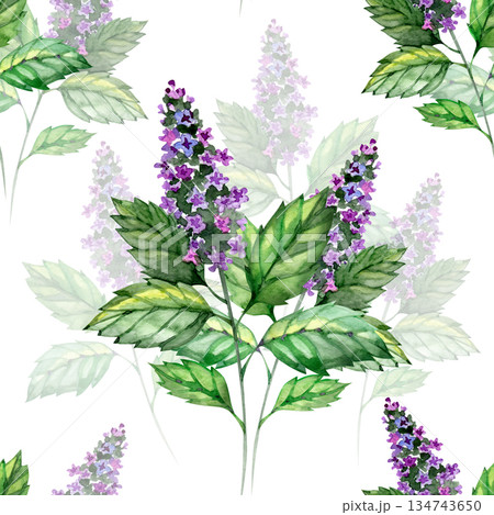 Hand painted seamless watercolor pattern with mint leaves and blooming herb flowers. Fresh botanical design with natural greenery, ideal for packaging, fabric, stationery, branding, and eco lifestyle Hand painted seamless watercolor pattern with mint leaves and blooming herb flowers. Fresh botanical design with natural greenery, ideal for packaging, fabric, stationery, branding, and eco lifestyle 134743650