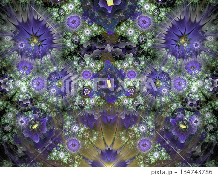Imaginatory fractal abstract background Image Imaginatory fractal abstract background Image 134743786