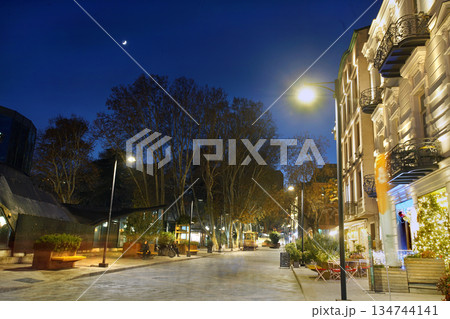 Park Leonidi  in downtown of Tbilisi soon Christmas 134744141