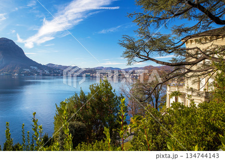 Amazing gardening on shioreline of Lake Lugano 134744143