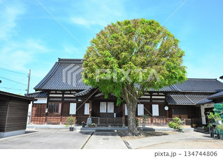 金屋町の街並みと宗泉寺の山門(富山県高岡市) 金屋町の街並みと宗泉寺の山門(富山県高岡市) 134744806