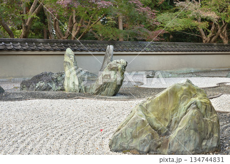 東福寺塔頭龍吟庵　西庭　龍の庭(京都市東山区) 134744831